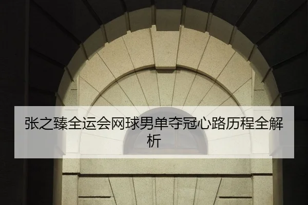 张之臻全运会网球男单夺冠心路历程全解析